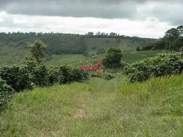 Imagem: Fazenda/ Sítio/ Chácara para Venda, na