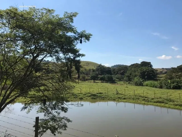 Imagem: Fazenda com 31 Hectares em Rio Casca