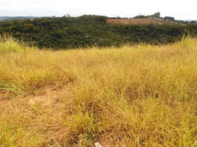 Imagem: Pensando em Construir Ótimo Lote, com