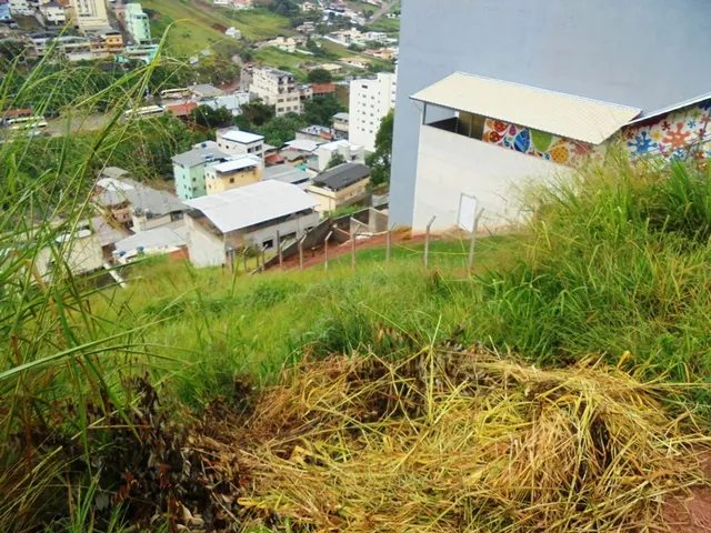 Imagem 3: Oportunidade!!!Lote 342 M² no João Braz!!