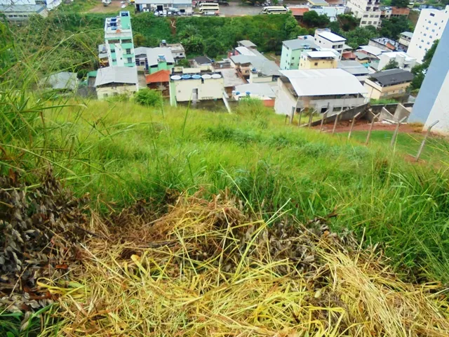Imagem 2: Oportunidade!!!Lote 342 M² no João Braz!!