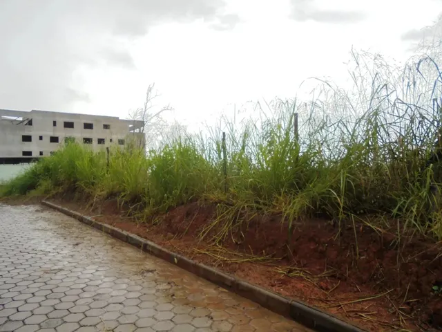 Imagem 4: Oportunidade!!!Lote 342 M² no João Braz!!