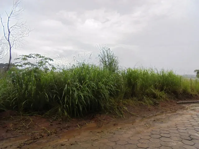 Imagem 5: Oportunidade!!!Lote 342 M² no João Braz!!