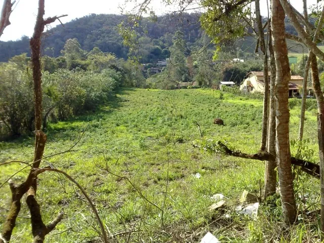 Imagem: Chácara Eucalipto na Violeira- em Viçosa-Mg
