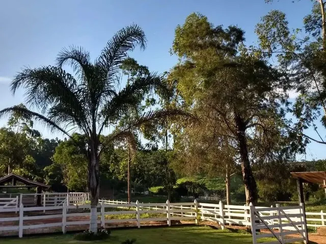 Imagem 15: Propriedade Rural na Comunidade de Sesmaria