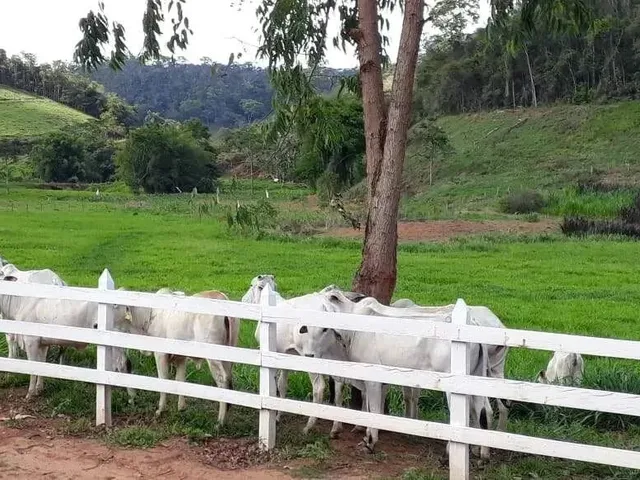 Imagem 14: Propriedade Rural na Comunidade de Sesmaria