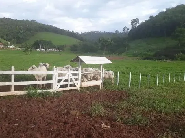 Imagem 10: Propriedade Rural na Comunidade de Sesmaria