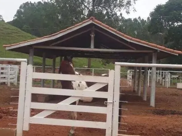 Imagem 4: Propriedade Rural na Comunidade de Sesmaria