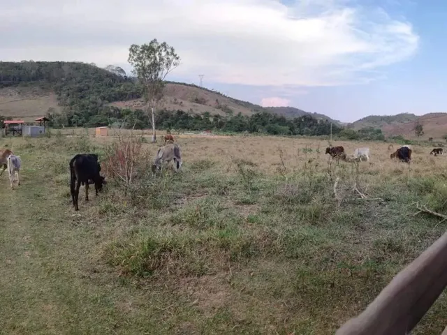 Imagem: Lote À Venda, Área Rural de Ponte Nova