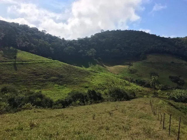 Imagem 3: Fazenda 208 Hectares. Ponte Nova / Barra Longa