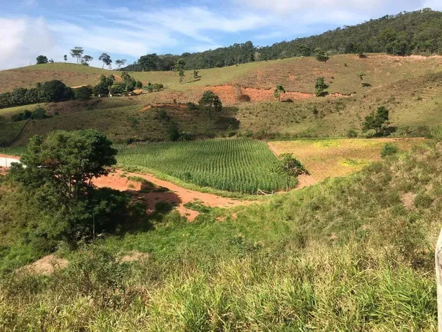 Imagem 10: Fazenda 208 Hectares. Ponte Nova / Barra Longa