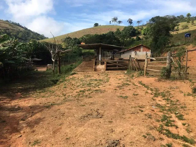 Imagem 5: Fazenda 208 Hectares. Ponte Nova / Barra Longa