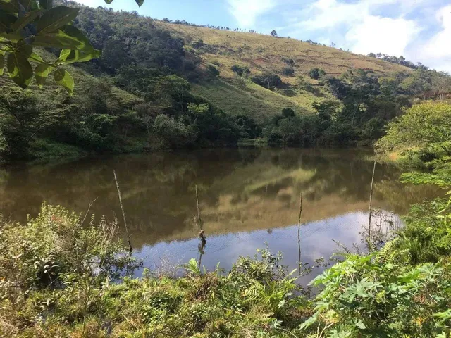 Imagem 12: Fazenda 208 Hectares. Ponte Nova / Barra Longa