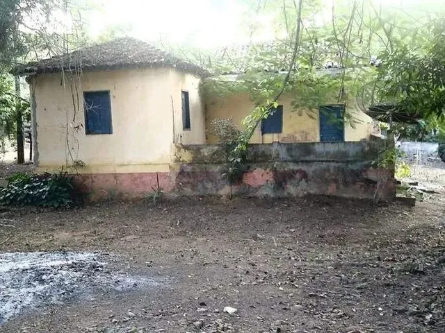 Imagem: Sítio À Venda, Zona Rural - Ponte Nova/Mg
