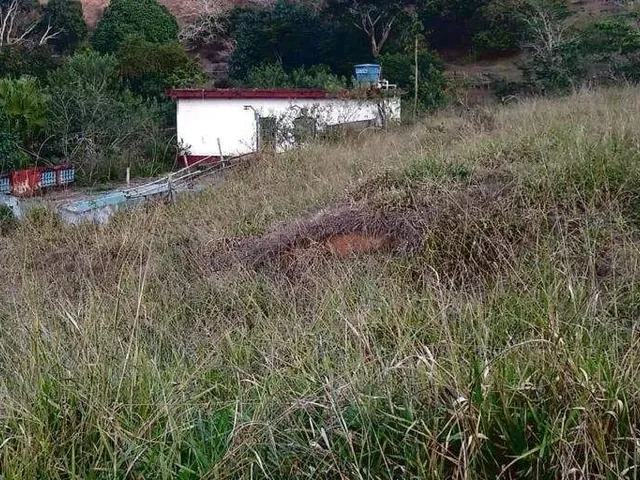Imagem 14: Sítio À Venda, Zona Rural - Ponte Nova/Mg