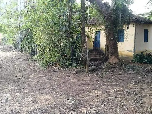 Imagem 13: Sítio À Venda, Zona Rural - Ponte Nova/Mg