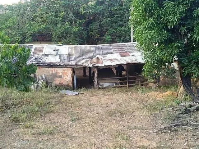 Imagem 8: Sítio À Venda, Zona Rural - Ponte Nova/Mg