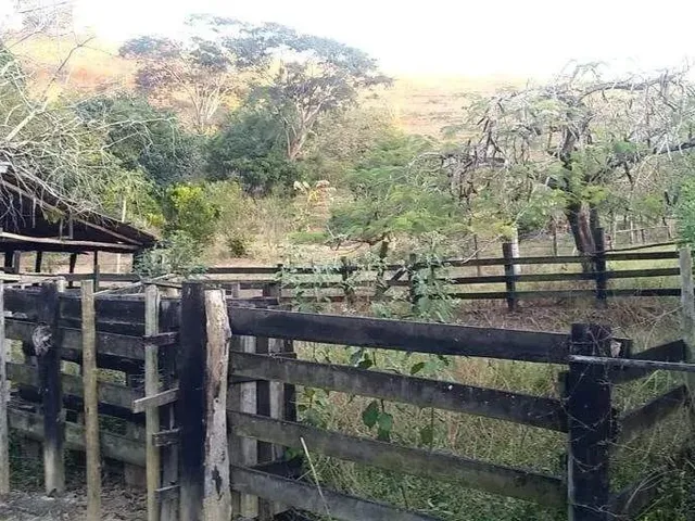 Imagem 10: Sítio À Venda, Zona Rural - Ponte Nova/Mg