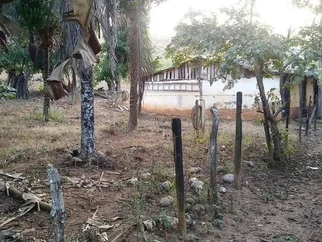Imagem 2: Sítio À Venda, Zona Rural - Ponte Nova/Mg
