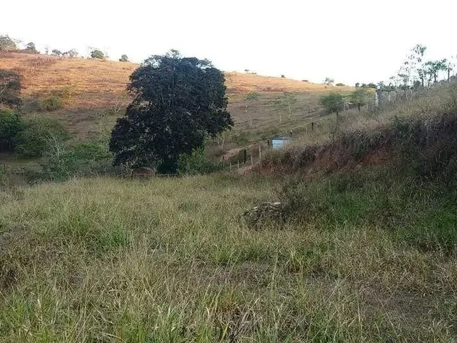 Imagem 4: Sítio À Venda, Zona Rural - Ponte Nova/Mg