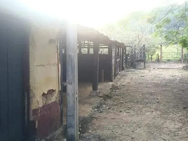 Imagem 5: Sítio À Venda, Zona Rural - Ponte Nova/Mg