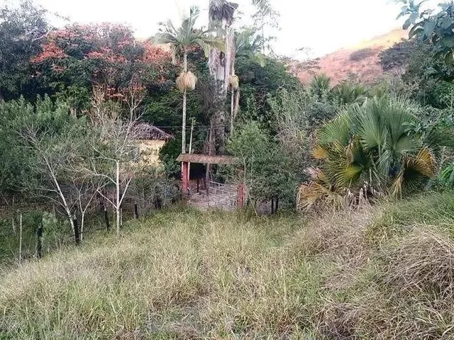 Imagem 9: Sítio À Venda, Zona Rural - Ponte Nova/Mg