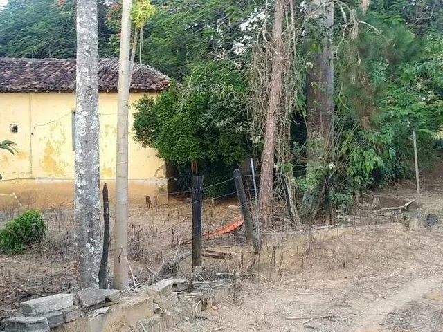 Imagem 15: Sítio À Venda, Zona Rural - Ponte Nova/Mg