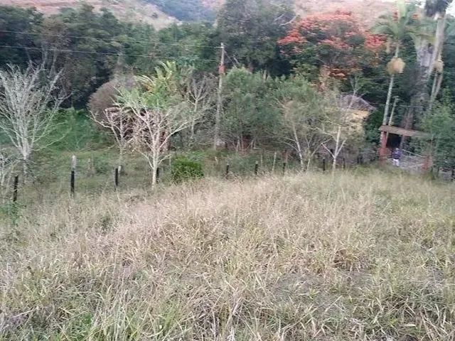 Imagem 6: Sítio À Venda, Zona Rural - Ponte Nova/Mg