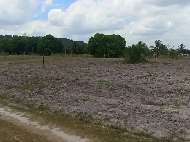 Imagem 2: Terreno no Povoado Coité