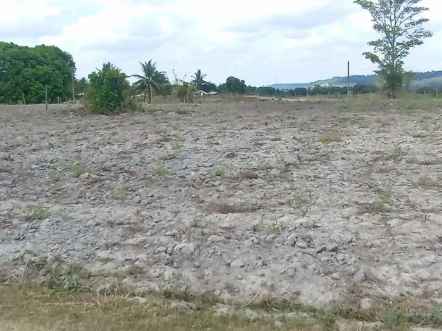 Imagem 3: Terreno no Povoado Coité