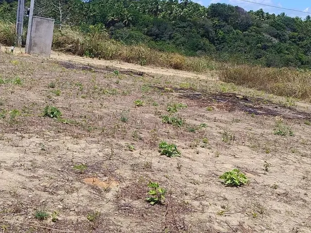 Imagem: Terreno Paripueira, Próximo a Praia de