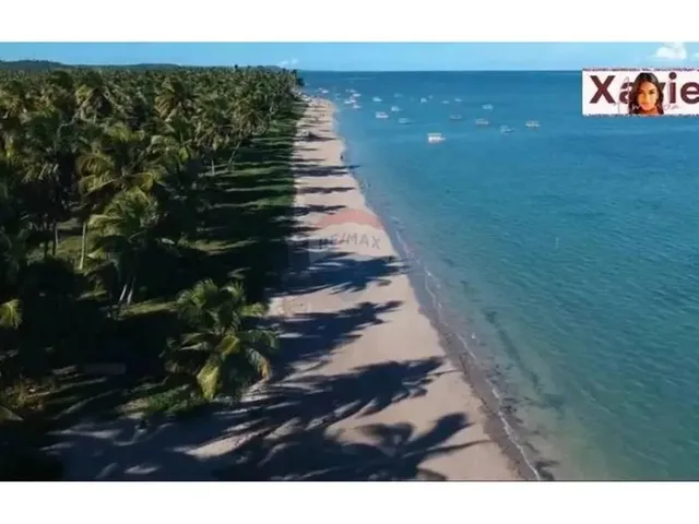 Imagem: Terreno em Milagres Alagoas