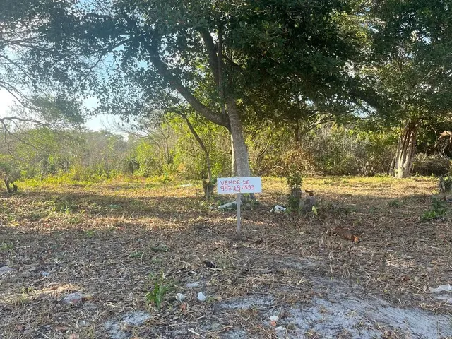 Imagem 1: Vende- Se Terreno em Massagueira