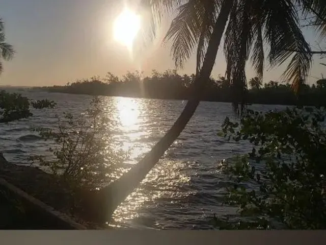 Imagem 8: Massagueira Rgi Vendo Aceito Oferta