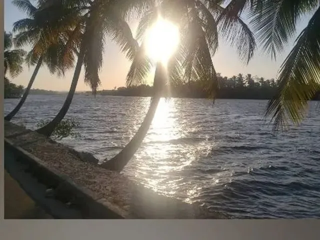 Imagem 11: Massagueira Rgi Vendo Aceito Oferta
