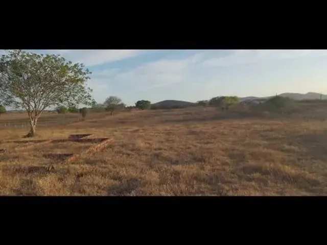 Imagem: O terreno está localizado em Graciliano Ramos, Palmeira