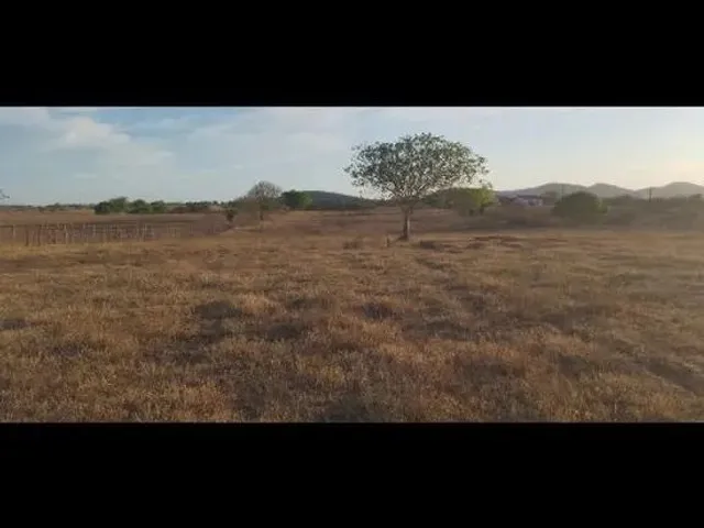 Imagem 3: 10 Tarefas de Terra