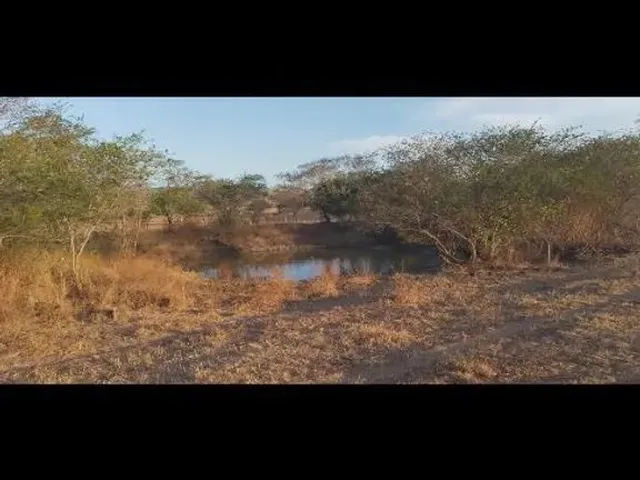 Imagem 4: 10 Tarefas de Terra