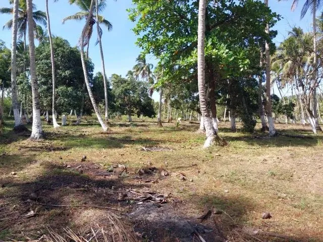 Imagem 5: Amp;Apos;&Amp;Apos;Terreno no Povoado Riacho Velho em Marechal Deodoro, Alagoas