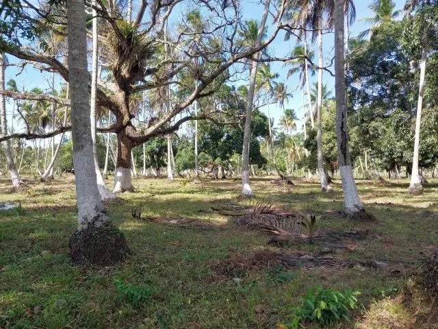 Imagem 6: Amp;Apos;&Amp;Apos;Terreno no Povoado Riacho Velho em Marechal Deodoro, Alagoas