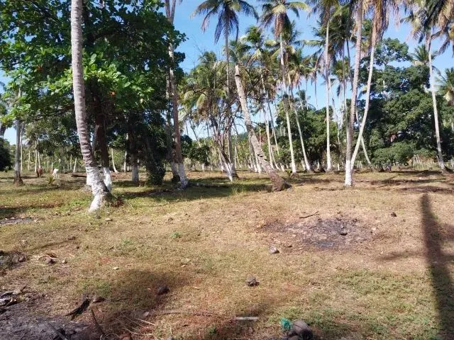 Imagem 7: Amp;Apos;&Amp;Apos;Terreno no Povoado Riacho Velho em Marechal Deodoro, Alagoas