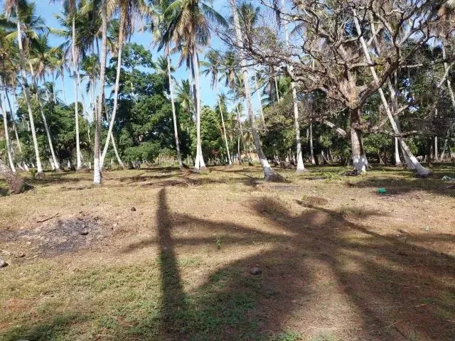 Imagem 4: Amp;Apos;&Amp;Apos;Terreno no Povoado Riacho Velho em Marechal Deodoro, Alagoas