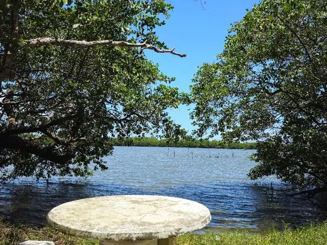 Imagem 3: Chácada com 6052M², no Francês com Fundos pra Lagoa!