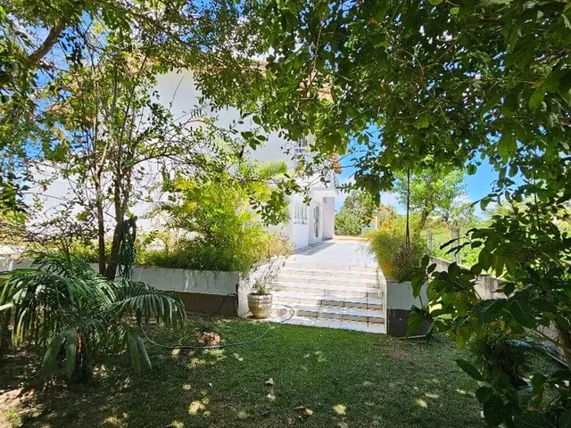 Imagem 14: Chácada com 6052M², no Francês com Fundos pra Lagoa!