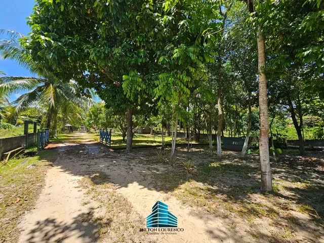 Imagem 15: Chácada com 6052M², no Francês com Fundos pra Lagoa!