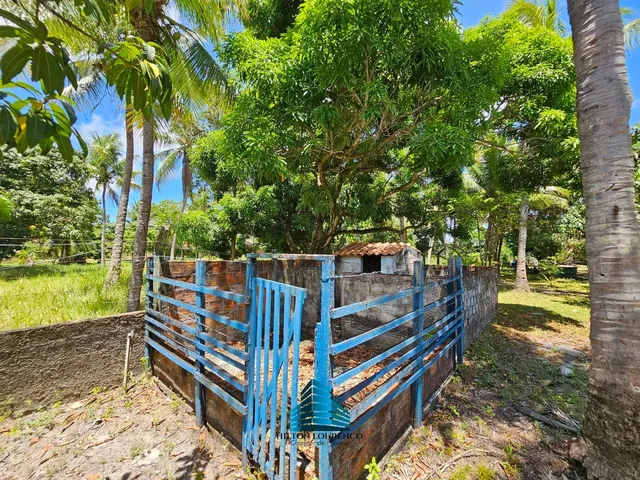 Imagem 16: Chácada com 6052M², no Francês com Fundos pra Lagoa!