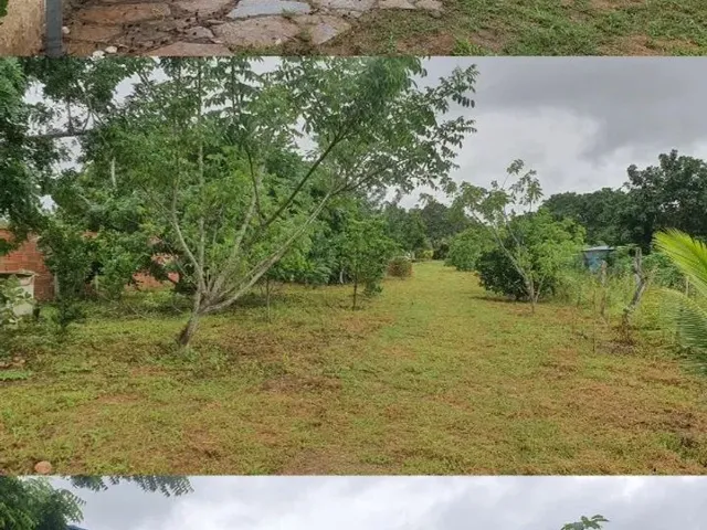 Imagem 12: Chácara Povoado Gavião de Baixo