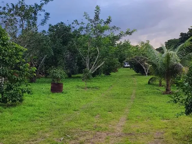 Imagem 10: Chácara Povoado Gavião de Baixo