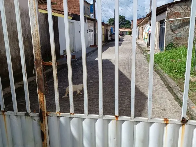 Imagem: Terreno 6X12 Perto do Aeroporto em Rio Largo