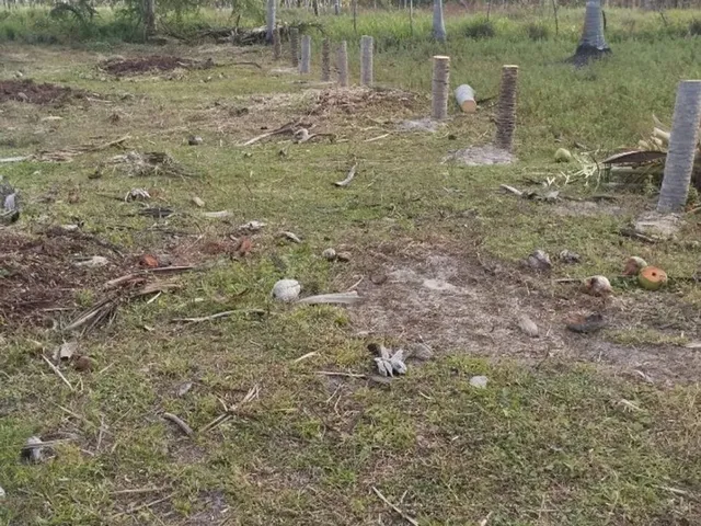 Imagem: Terreno com Accesso Ao Rio e no Centro do
